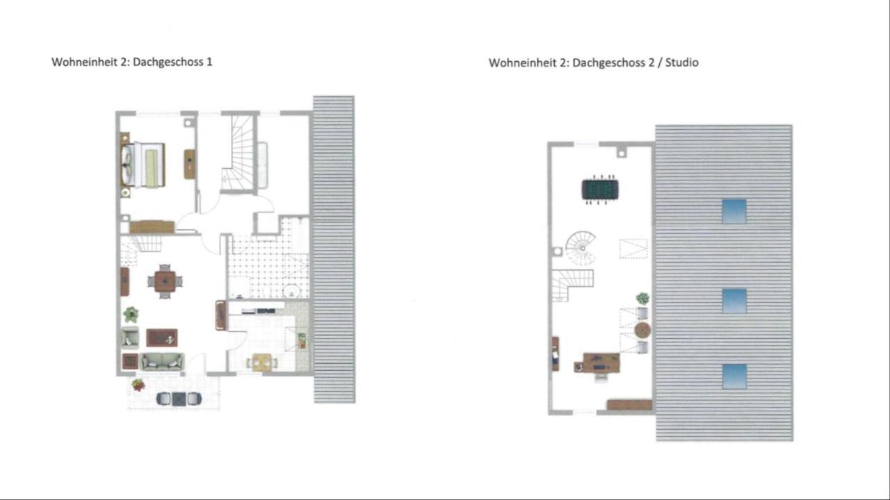 Brulaire Buesingen Am Hochrhein Apartman Kültér fotó